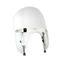 19" Quick Release Windshield - Clear