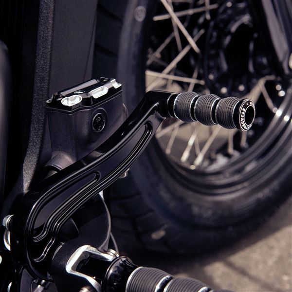 Billet Shifter/Brake Pegs - Chrome