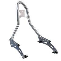 Bolt-On Sissy Bar