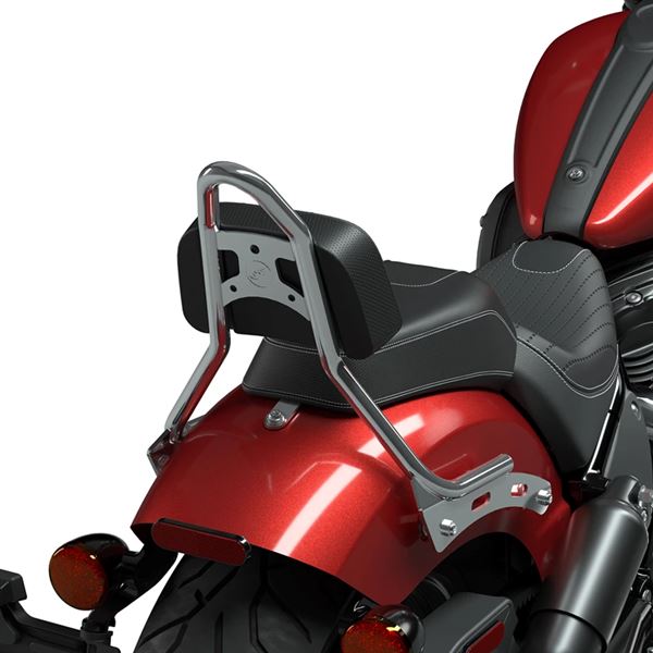 Bolt-On Sissy Bar