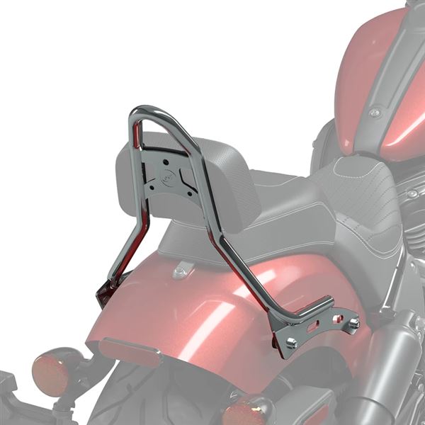Bolt-On Sissy Bar